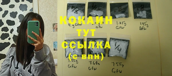 твердый Богородицк