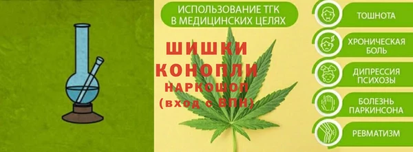 бошки Богданович