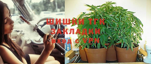 бошки Богданович