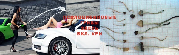 бошки Богданович